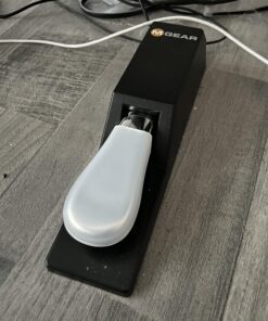 M-Audio SP-2 - Universal Sustain Pedal with Piano Style Action For MIDI Keyboards, Digital Pianos & More 34 71K diJqcoL 2