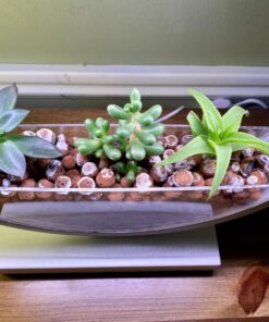 Expanded Clay Pebbles LECA Grow Media for Plants, Orchids, DWC Hydroponics, Aquaponics, Aquaculture Garden Soil Additive Conditioner Amendment Ceramsite Aggregate Cz Garden 2 LBS Cz Expanded Clay Pebbles 43 71K1XkfOWwL