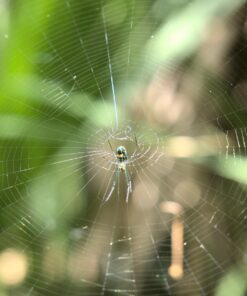 Panasonic LUMIX G85MK 4K Mirrorless Interchangeable Lens Camera Kit, 12-60mm Lens, Lexar U3 64GB Memory Card, 2 Spare Batteries, Charger, Bag and Accessory Bundle 44 71K514AAHwL