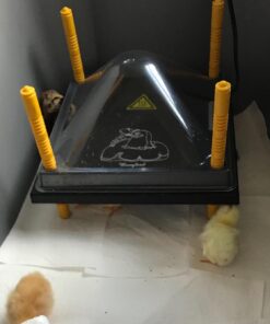 Premier Chick Heating Plate Kit - Includes Cover and Warms Up to 20 Chicks - 12" W x 12" L 27 71K5u5XdDBL
