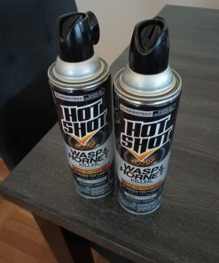 Hot Shot Wasp & Hornet Killer Spray (2 Pack), Eliminates The Nest, Sprays Up Tp 27 Feet, for Insects, 28 fl Ounce 17 71K7P97hBOL