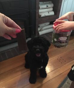 Triumph Dog Turkey, Pea, & Berry Grain Free Jerky, 24-Ounce 1.5 Pound (Pack of 1) 35 71K88 P4sUL