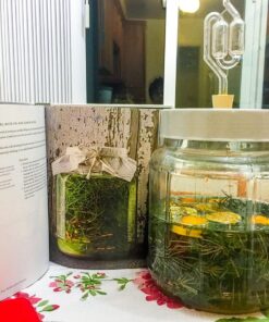 The New Wildcrafted Cuisine: Exploring the Exotic Gastronomy of Local Terroir 11 71K8cTUZwrL