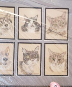 Dr. Elsey's Premium Clumping Cat Litter | Ultra Scented | 99.9% Dust-Free, Low Tracking, Hard Clumping, Superior Odor Control, Natural Ingredients & Moisture-Activated Scent 40 Lb / 18.14 Kg 31 71KA67FTyL