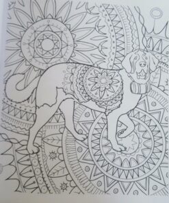 Amazing Dogs: Adult Coloring Book (Stress Relieving Creative Fun Drawings to Calm Down, Reduce Anxiety & Relax.) 48 71KAjiC8nwL