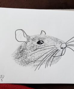 Norberg & Linden Drawing Set - Sketching and Charcoal Pencils - 100 Page Drawing Pad, Kneaded Eraser. Art Kit and Supplies for Kids, Teens and Adults 29 71KAt9yd01L