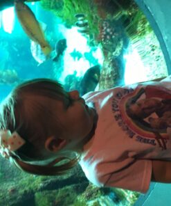 CÉLLOT 3 Inch Boutique Grosgrain Ribbon Pinwheel Hair Bows Alligator Clips For Girls Toddlers Accessories Teens Gifts In Pairs 70pcs/35color 26 71KCx dJuL