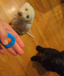 Starmark Pro-Training Clicker for Dogs 1 Count 25 71KF1ItveWL