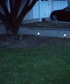 GardenBliss Best Solar Lights for Outdoor Pathway, 10 Brightest Light Set for Walkway, Patio, Path, Lawn, Garden, Yard Decor, Double Waterproof Seal, Large Led Landscape Outside Post Lighting Lamps Pack of 10 - White Light 41 71KFb2VqYqL