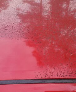 Mothers California Gold Clay Bar System for Car Detailing, Kit Includes Detailer, 3 Clay Bars, and Microfiber Towel (07240) Original Kit (3 bars) 27 71KIZ4LMiqL