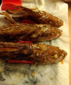 Taco Stand Up Taco Stand Up Holders - 8 Pack 18 71KPlnlbDeL