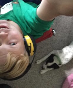 3M WorkTunes Hearing Protector with AM/FM Radio, NRR 24 dB,Black/Yellow 32 71KPsphQNtL