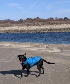 Kurgo Loft Dog Jacket, Reversible Dog Coat, Wear with Harness or Sweater, Water Resistant, Reflective, Winter Coat For Medium Dogs (Coastal Blue, M) Coastal Blue/Orange 39 71KRO7fmDHL