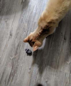 HEXBUG Mouse Robotic Cat Toy (GREY) for all breed sizes 27 71KSTj82CSL