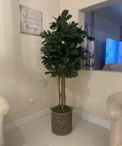 Nearly Natural 6ft Fiddle Leaf Fig Artificial Trees, 72in, Green 72 in 43 71KUOrwyiqL