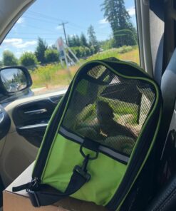 Paws & Pals Airline Approved Pet Carrier - Soft-Sided Carriers for Small Medium Cats and Dogs Air-Plane Travel On-Board Under Seat Carrying Bag with Fleece Bolster Bed for Kitten Cat Puppy Dog Taxi Green 48 71KXF9azWzL