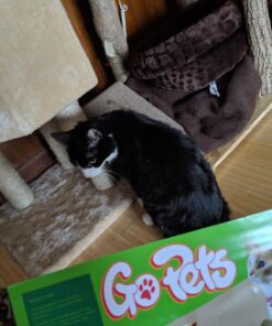 GoPets Premium Cat Scratcher - Wedge Shaped Corrugated Cardboard, Ergonomic Scratching Posts, Reversible Design, Lasts 2X Longer, with 1 Pack Catnip & Hidden Toy Cutouts for Endless Feline Play Fun 39 71KYFkT4itL 1