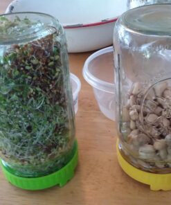 Alternative view of Todd's Seeds® Broccoli and Friends Sprouting Seed Mix, One Pound