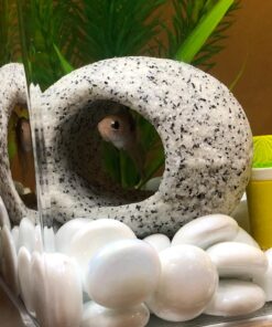 Penn-Plax Deco-Replicas Granite Aquarium Ornament & Hideaway – Realistic Stone Appearance – Safe for Freshwater and Saltwater Tanks – Small Size, White (RR1071) 39 71KZCpprPeL 1