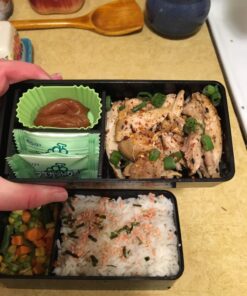 Japanese Traditional Rabbit Blossom Bento Box Set - Square 2 Tier Bento Box, Rice Ball Press, Bento Bag (Blue) 48 71KZSKKyITL