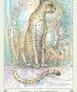 Spiritsong Tarot 46 71KZnxl7NUL