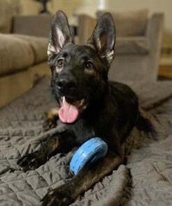 KONG Puppy Tires - Durable Puppy Chew Toy - Soft Rubber Treat Toys for Puppies & Dogs - Stuffable Dog Chew Toy - Puppy Teething Toy for Fetch & Mental Enrichment - Tire Chew Toy - Medium/Large Puppies 35 71KbUIw6e4L 2