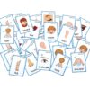 FieldDream 36Pcs/Set Body Parts Child Flash Cards Learning Toys English Baby Card Kids Gifts Pre-Kindergarten with Ring 43 71KiN21DiwL