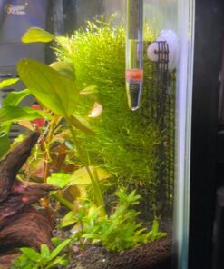 Luffy Decorative Wall or Floor Mesh Kit, 2 Pieces 33 71KjsPbiBrL