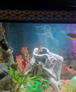 LONDAFISH Aquarium Bubble Light Aquarium Air Stone LED Light Air Pump Bubble Stone Lamp 21 71Kpvp4LvHL