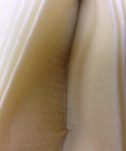 GE FXHSC Whole House Water Filter | Replacement for Water Filtration System | NSF Certified: Reduces Sediment, Rust & Other Impurities from Water | Replace Every 3 Months for Best Results | 1 Filter 1 Count (Pack of 1) 25 71KsJV ZbhL