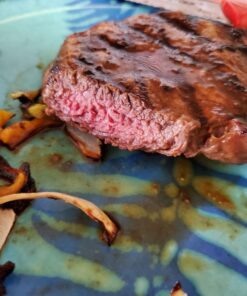 Hamilton Beach Electric Indoor Searing Grill with Viewing Window & Adjustable Temperature Control to 450F, 118 sq. in. Surface Serves 6, Removable Nonstick Grate, Stainless Steel Searing Grill with Window 60 71KwEUjmvWL 1