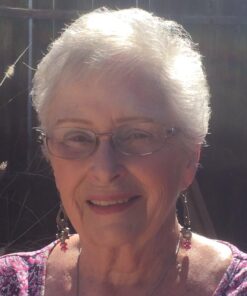 Liquid Mineral Supplement, Iron, Nordic Blueberries, Full of Beneficial antioxidants 7 71Kwnv5PfUL