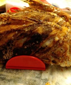 Taco Stand Up Taco Stand Up Holders - 8 Pack 19 71KxsxFlD L