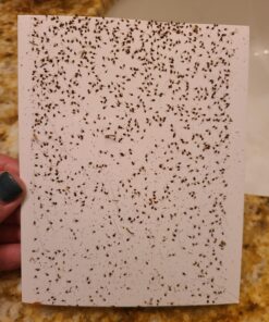 Enoz Trap-N-Kill Replacement Flea Trap Sticky Capture Pads for Use with Flea Traps, Nontoxic, Made in USA, 3 Count 1-Pack 11 71L0Kl0ksL