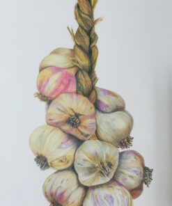 Prismacolor Premier Colored Pencils, Soft Core, 48 Pack 34 71L0LWh5nYL