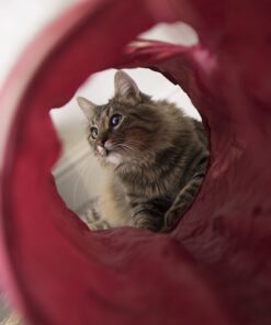 SmartyKat Crackle Chute Crinkle Activity Tunnel Cat Toy - Tan/Red, One Size Set of 1 Crackle Chute Tunnel 28 71L3FwlPwtL