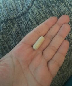 Garden of Life Prenatal Multivitamin for Women with Iron, Folate & Vitamin C and D3 for Neural Development & Probiotics for Immune Support – Vitamin Code – Non-GMO, Gluten-Free, Kosher, 30 Day Supply 90 Count (Pack of 1) 31 71L6Z8XMGtL 1