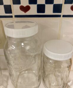 Cornucopia Wide Mouth Plastic Mason Jar Lids (24-Pack Bundle); 2 Dozen Unlined White Ribbed Lids, 86-450 Size 24 Lid Basic Set w/ Lids Only 35 71L6nYAJyuL