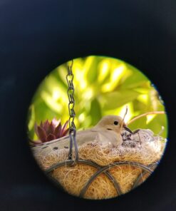 Celestron – TrailSeeker 80mm Angled Spotting Scope – Fully Multi-Coated XLT Optics – 20-60x Zoom Eyepiece – Waterproof & Fogproof – Rubber Armored TrailSeeker 80 - 45 Degree 19 71L6vNZkHrL