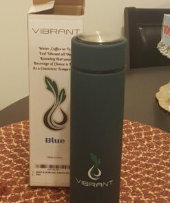 Vibrant All in ONE Travel Mug - Tea Infuser Bottle - Insulated HOT Coffee Thermos - Cold Fruit Infused Water Flask - Food Grade Leak Proof Tumbler Double Wall Stainless Steel 16.9 oz Blue 35 71L74OWbtBL