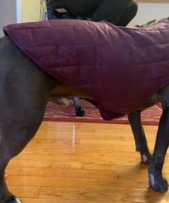 Kurgo Loft Dog Jacket, Reversible Dog Coat, Wear with Harness or Sweater, Water Resistant, Reflective, Winter Coat For Large Dogs (Coastal Blue, XL) Extra Large Coastal Blue/Orange 60 71L91Pj4KCL