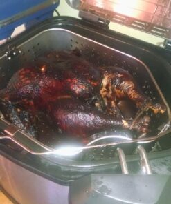 Masterbuilt 23011114 Butterball Indoor Electric Turkey Fryer, XL 10L - Extra Large (Old Version) 41 71L9QCYzOfL