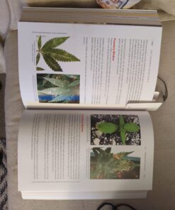 Alternative view of The Cannabis Grow Bible: The Definitive Guide to Growing Marijuana for Recreational and Medicinal Use