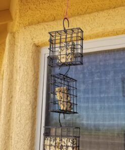 More Birds Suet Cage Bird Feeder, Fruit and Suet Feeder, Single Cake Capacity ,Black Black 27 71LB6x4LoL 3