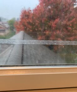 Window Fly Traps by Catchmaster - 12 Count, Ready to Use Indoors. Insect, Bugs, Fly & Fruit Fly Glue Adhesive Sticky Paper - Waterproof Easy Application Ready Disposable Non-Toxic 12 Traps 27 71LD1CkzHfL 1