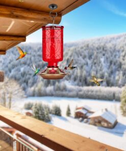 BOLITE Hummingbird Feeder, 18005 Glass Hummingbird Feeders for Outdoors Hanging, 5 Feeding Stations, 22 Ounces, Red Bottle, Xmas Gifts for Bird Lovers Red Elixir Bottle 27 71LDB4Q 5L