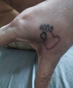 Solong Complete Tattoo Kit 4 Pro Machine Guns 54 Inks Power Supply Foot Pedal Needles Grips Tips Carry Case TK456-US 336 Piece Set 39 71LGivXePL