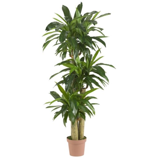 Nearly Natural - 6584 62in. Corn Stalk Dracaena Silk Plant (Real Touch), 24" x 28" x 62", Green artificial plant