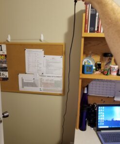 Amazon Basics USB-C to USB-A 2.0 Fast Charger Cable, 480Mbps Speed, USB-IF Certified, for Apple iPhone 15, iPad, Samsung Galaxy, Tablets, Laptops, 6 Foot, Black 6 Feet 1-Pack 33 71LKmz7OLWL