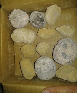 Break Your Own Geodes - Set of 12 - STEM Toy and Classroom Learning 42 71LMJK5d0fL